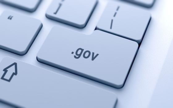 digital government